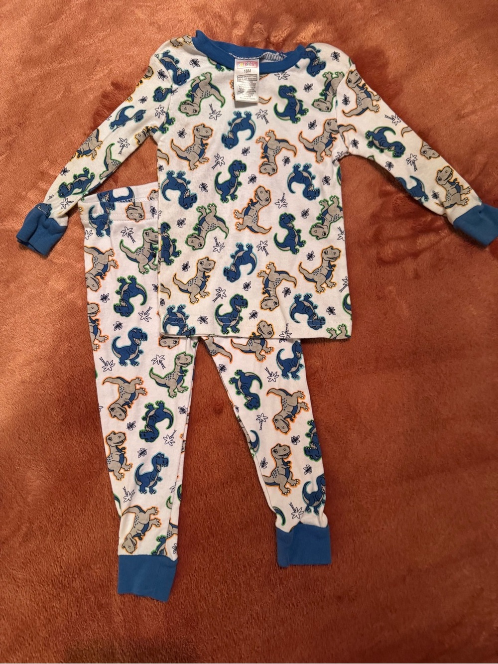 Kids Dinosaur Print Blue Trim Pajama Set